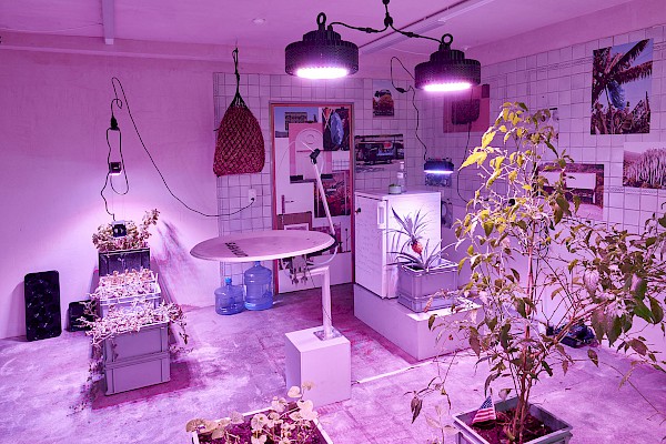 «Flesh Palace» mit Springbrunnen und Gewächsen, Foto Philipp Hänger